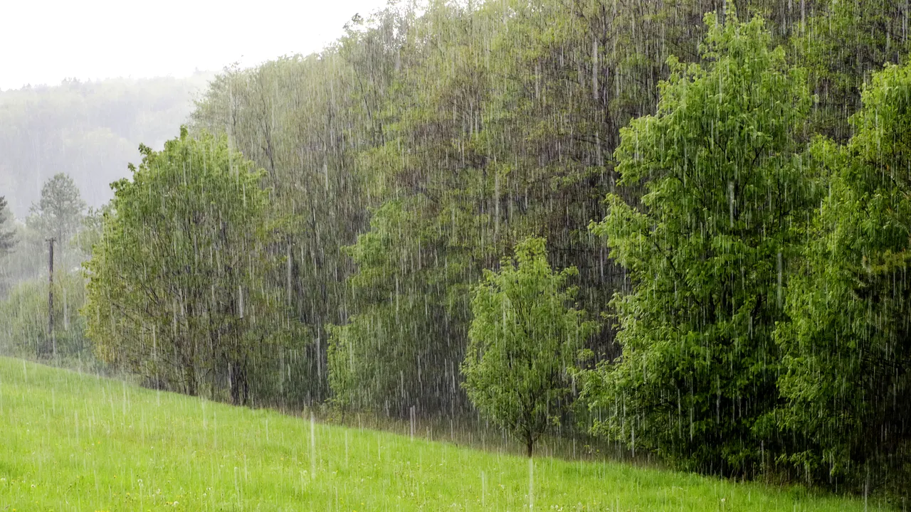 ATENŢIONARE meteo de vineri până sâmbătă dimineaţa. Sunt anunţate vijelii şi caniculă