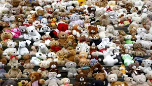 Zeci de mii de ursuleți de pluș amplasați în Washington DC trag un semnal de alarmă în privința copiilor ucraineni răpiți în timpul războiului