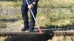 Câine considerat periculos, capturat de jandarmi într-o zonă de blocuri din județul Mehedinți