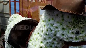 Nuntă în stil western, cu decoruri din cactuşi şi căluţi din crizanteme, la un târg din Cluj-Napoca - FOTO