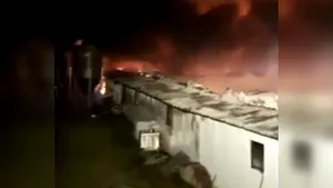 Tragedie în Buzău. Sute de animale au murit într-un incendiu violent izbucnit la un adăpost / Prima ipoteză a pompierilor | VIDEO