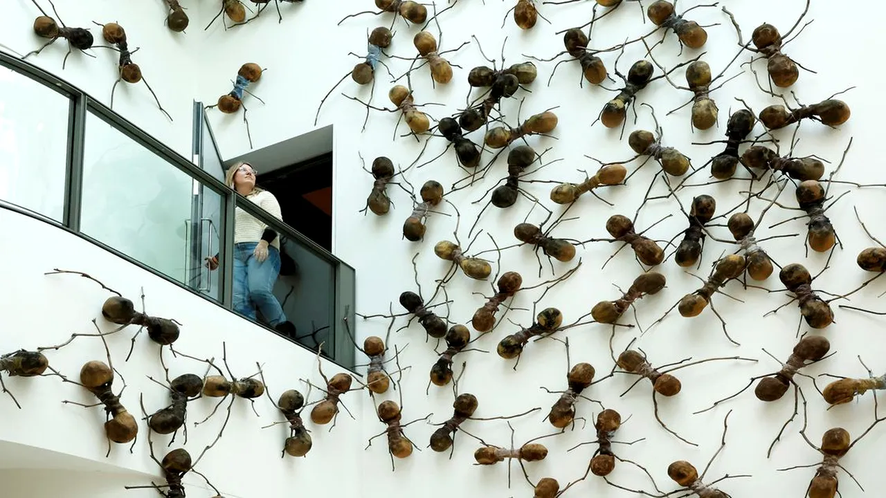 O altfel de artă. Personalul de curăţenie de la o galerie din Amsterdam a primit ordin să lase insectele să se ”dezlănţuie” în numele artei
