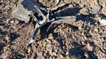 MAE de la Chișinău anunță prima măsură după incursiunile cu drone și rachete în spațiul aerian al Republicii Moldova