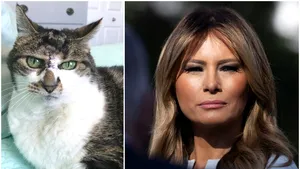 Asemănarea care a stârnit un val de reacţii pe reţelele de socializare: Melania Trump, comparată cu o pisică. FOTO