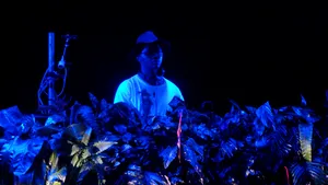 Petrecerea continuă la Neversea: Unul dintre cei mai buni DJ ai lumii, Afrojack, a coborât în mijlocul zecilor de mii de fani