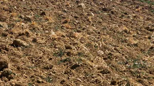 Pompierii români aflaţi în Grecia acţionează pentru stingerea unui incendiu de vegetaţie uscată