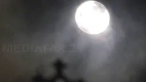 Filme horror şi fantastice, prezentate în PREMIERĂ în România la Festivalul 