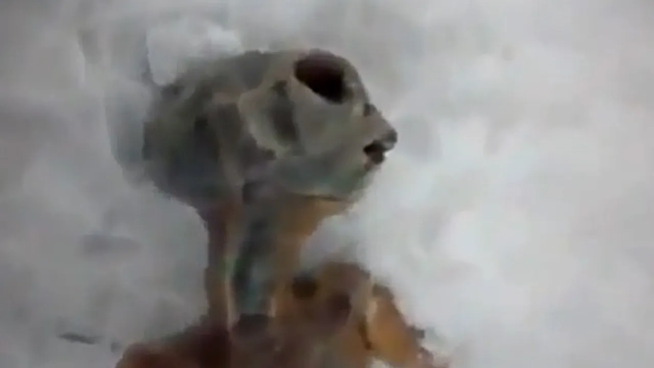 Cadavrul unui extraterestru, descoperit în Siberia. Real sau fals? - VIDEO