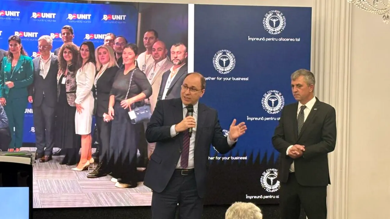 Studiu. Antreprenorii români din diaspora cred că fără relații nu se pot reintegra în România