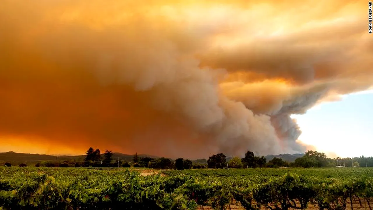 Pompier jefuit în timp ce stingea incendiul din Santa Cruz: I-au furat portofelul din autospecială