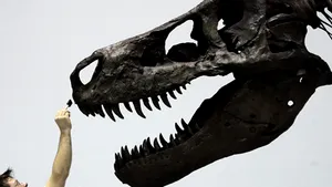 O boală parazitară a păsărilor, posibilă cauză a dispaţiei dinozaurilor T-Rex