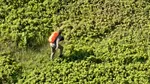 Tânăr ucrainean salvat în extremis de Salvamont Maramureș. Era la 20 de metri de prăpastie
