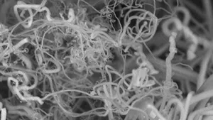 STUDIU: Nanofibre de carbon, obţinute din dioxidul de carbon din aer - VIDEO