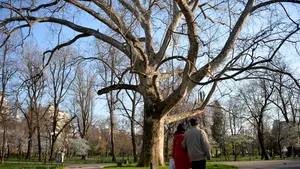 Vremea în Bucureşti: temperaturi de primăvară în plină iarnă