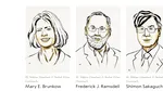 Doi cercetători americani și un cercetător japonez, laureații Premiului Nobel pentru Medicină 2025
