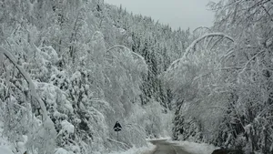 FOTO Cinci turişti, blocaţi pe Transalpina pe un drum închis circulaţiei, ajutaţi să coboare de jandarmi 