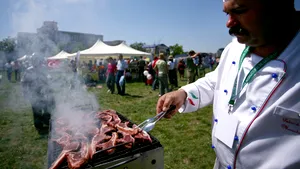 Variante de petrecere a zilei de 1 mai