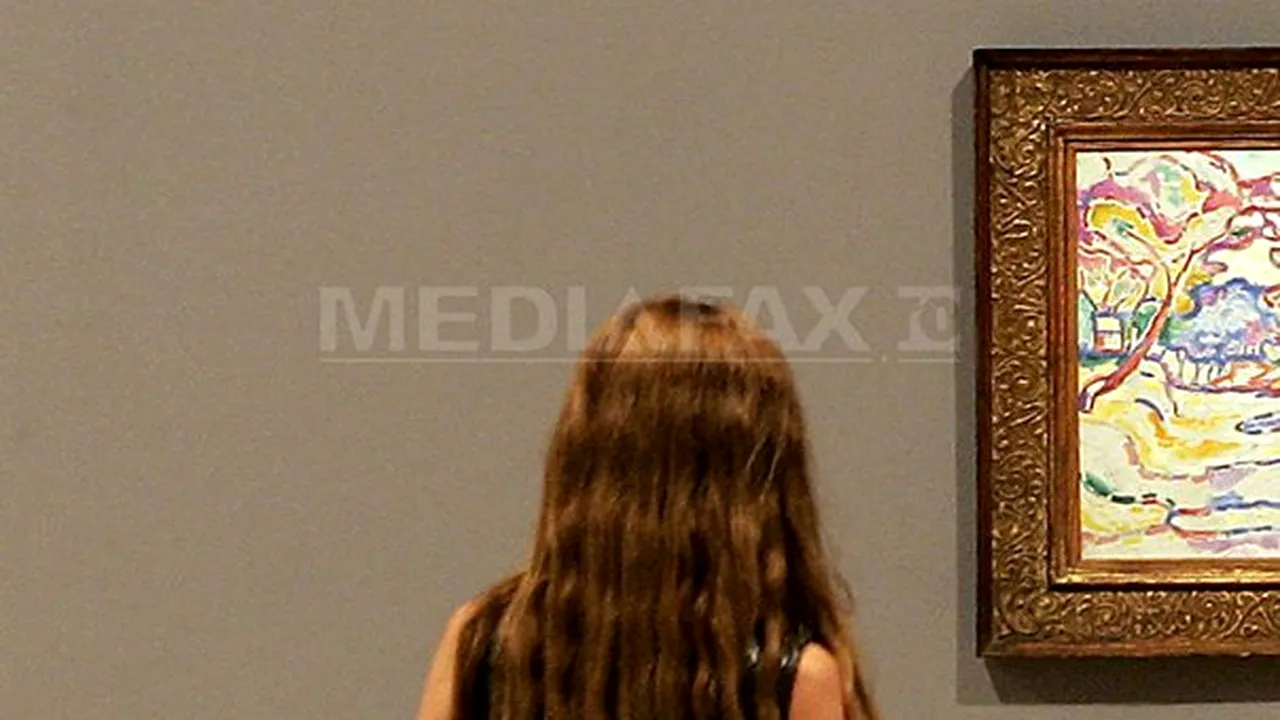 Cinci tablouri, printre care o litografie de Picasso, furate dintr-o locuinţă din Marsilia