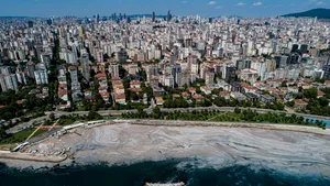 Din Marmara, în Marea Egee. Cea mai mare formaţiune de mâzgă marină a ajuns în Grecia. Ce este substanţa şi care sunt riscurile ei?