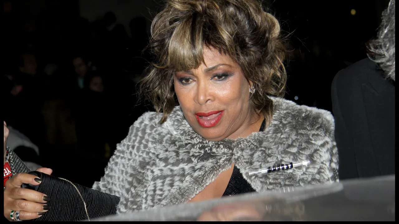 Fiul cel mare al cântăreţei Tina Turner s-a sinucis