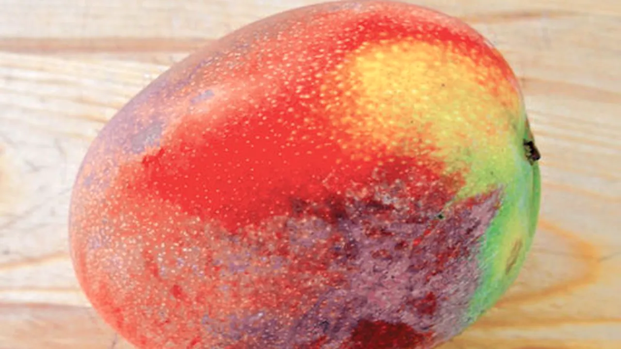Mango ajută la regenerarea pielii
