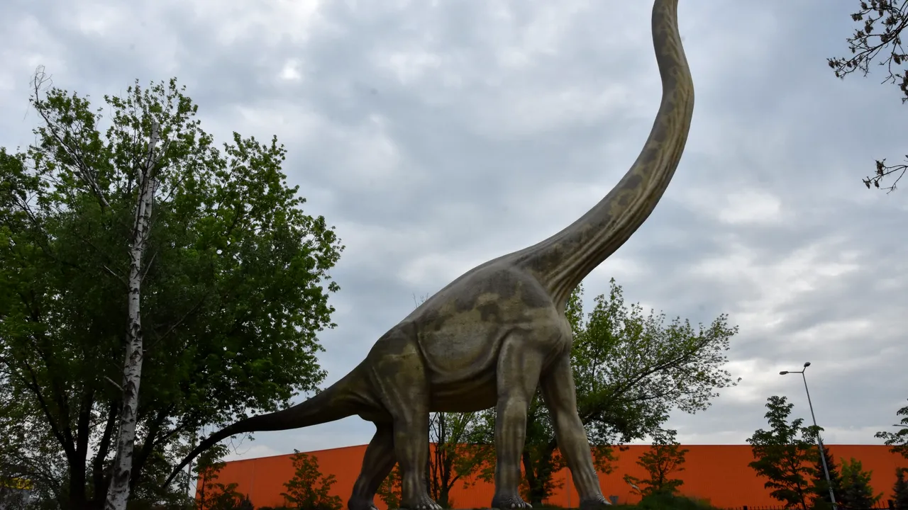  Dinţii unui diplodocus sugerează că strămoşii săi ar fi consumat carne