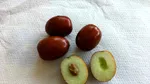 Fructul cultivat de mii de ani, redescoperit de italieni. Ce efecte are asupra digestiei și imunității