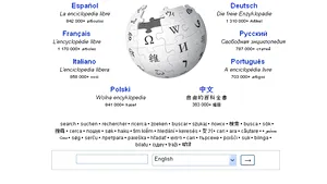 Cofondatorul Google Sergey Brin a donat 500.000 de dolari pentru funcţionarea Wikipedia