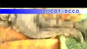 DIICOT: Cazul privind asasinatele de la Constanţa, unic în România