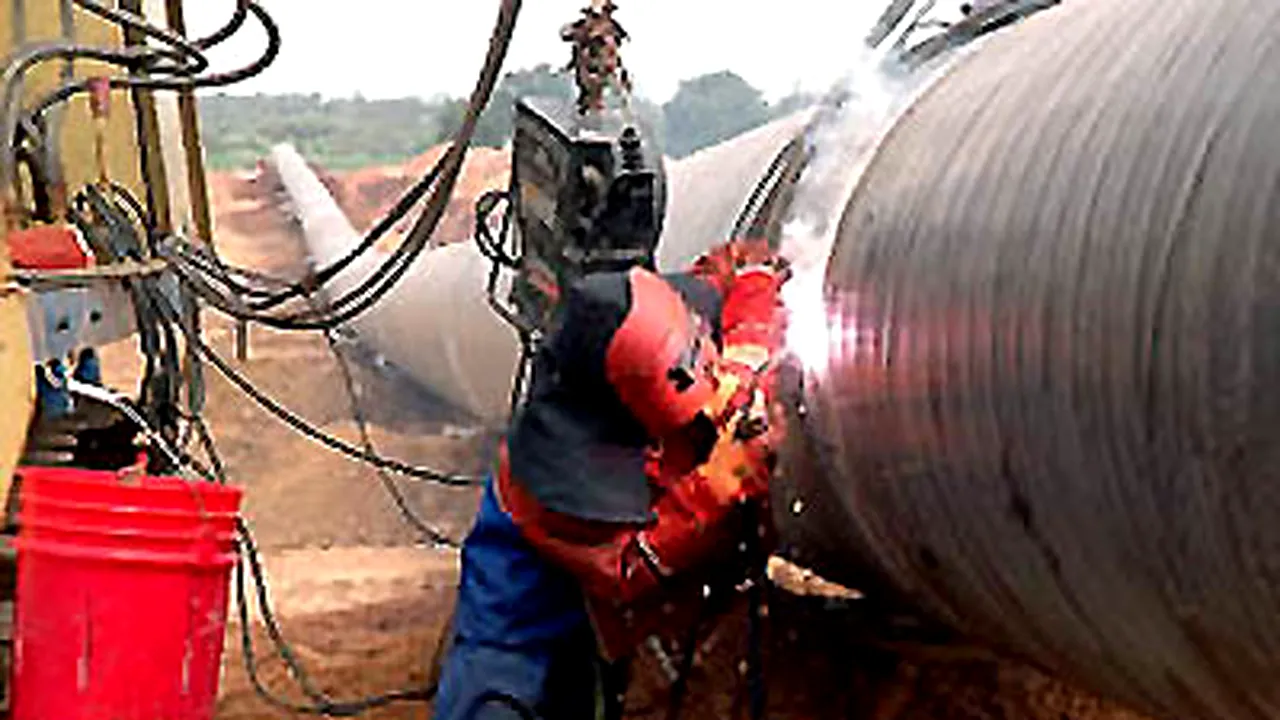 Transgaz şi Bulgargaz discută despre unificarea reţelelor de gaze din România şi Bulgaria