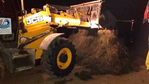 VIDEO Mii de tone de alge au fost adunate de pe plaje româneşti: „Turiştii vor găsi un nisip nivelat, iar linia ţărmului va fi curată şi primitoare”