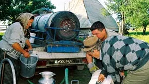 Romanian Milk Processors Deny Unions Involvement In Price Setting