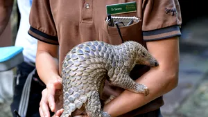 Speciile pe cale de dispariţie pot fi salvate. O grădină zoologică din Marea Britanie conservă material genetic pentru a opri procesul de extincţie