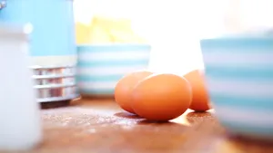 Primele ouă vegane au fost obţinute în laborator, iar creatoarele lor explică ce intenţii au avut