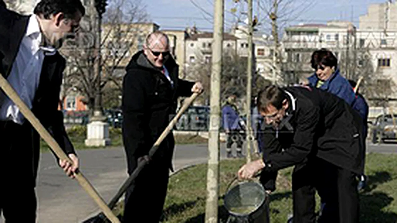 Zeci de mii de copaci vor fi plantaţi în Sectorul 1 în zone cu vegetaţie spontană şi moloz