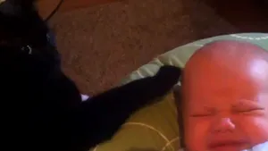 Pisica baby-sitter: Crezi că va reuşi să liniştească bebeluşul care plânge? - VIDEO