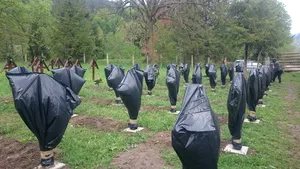 Noi informaţii ies la iveală în cazul cimitirului din Valea Uzului: Ungaria a sesizat Consiliul Europei