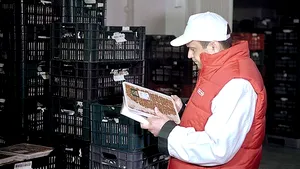 Peste 650 de kilograme de alimente expirate, găsite de Poliţie la un depozit Antefrig din Capitală - VIDEO