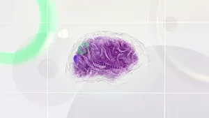 Pot ajuta vitaminele B la protejarea creierului împotriva Alzheimerului?