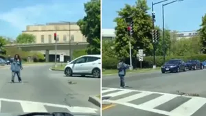 VIDEO O răţuşcă şi puii ei, ajutaţi să traverseze o stradă aglomerată. Clipul, viral pe Twitter 