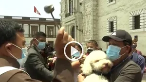 VIDEO Ceremonie de binecuvântare a pisicilor şi a câinilor în Peru