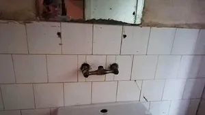 Deputatul Ungureanu face noi dezvăluiri: La Spitalul din Sighet nu poate intra coronavirusul. Îl omoară stafilococul auriu | FOTO