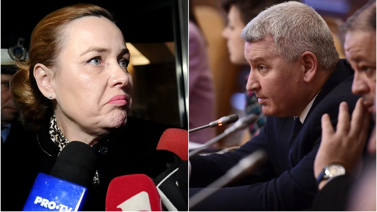 Nou scandal la audieri. Florin Roman a criticat-o dur pe Carmen Dan: Aţi dat ordin să fie bătuţi românii. O sa ajungeţi lângă Dragnea