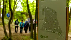 Cluj: Pădurea Făget, premiul I la New European Bauhaus 2024