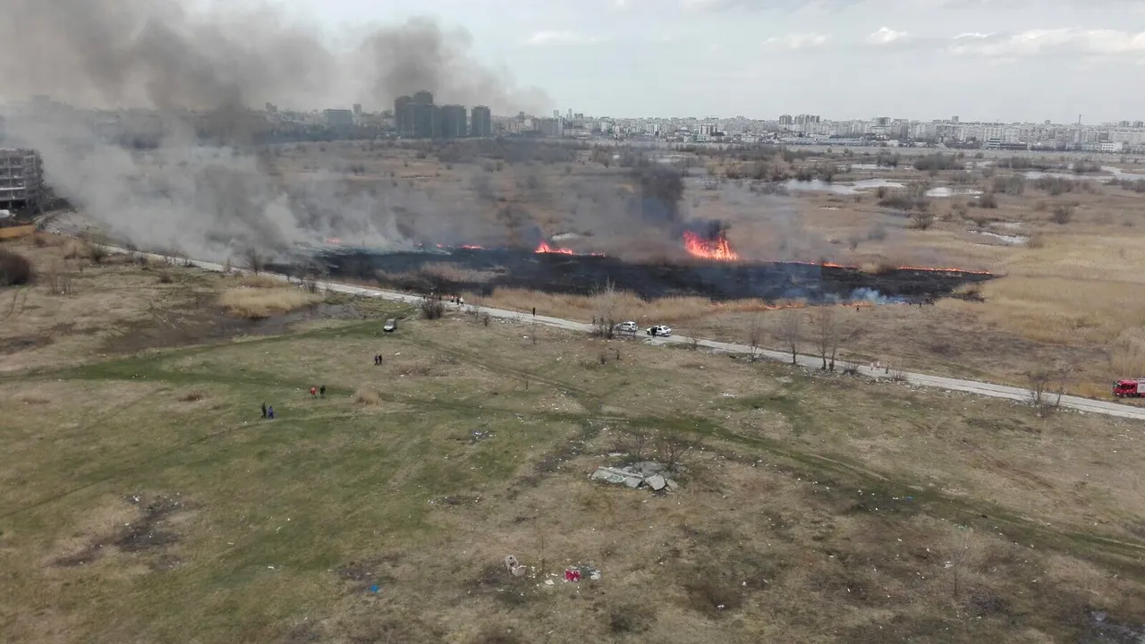 GALERIE FOTO Incendiul de vegetaţie din Delta Văcăreşti a fost stins/ Un hectar de teren a fost cuprins de flăcări