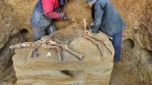 Scheletul complet al unui cal preistoric, descoperit în Franţa