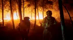 Lupta cu incendiile. Grecia, Bulgaria, Muntenegru și Albania cer ajutor UE din cauza incendiilor cauzate de caniculă