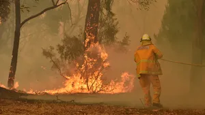 Ce vedete au făcut donaţii pentru pompierii din Australia care se luptă cu incendiile devastatoare