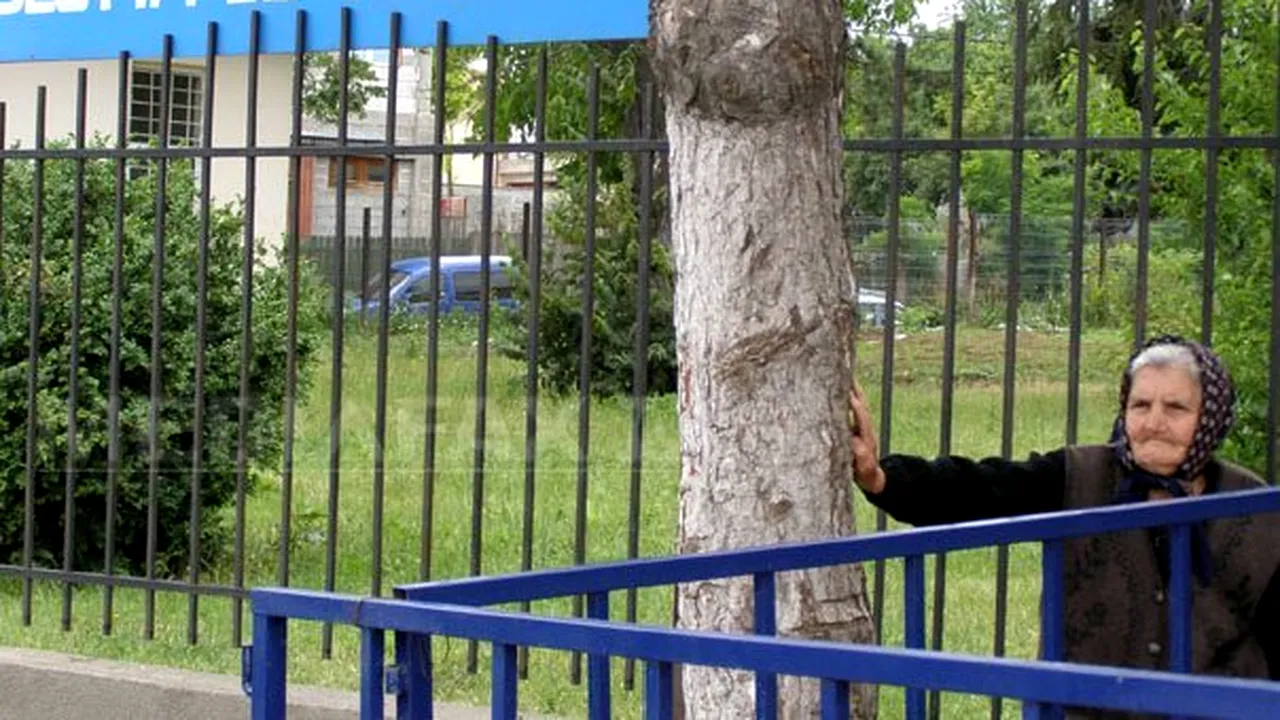 PDL cere camere video în secţiile de votare la referendumul din 29 iulie