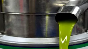 Alimentul minune care protejează inima, creierul și oasele. Ce se întâmplă în organism dacă îl consumi zilnic